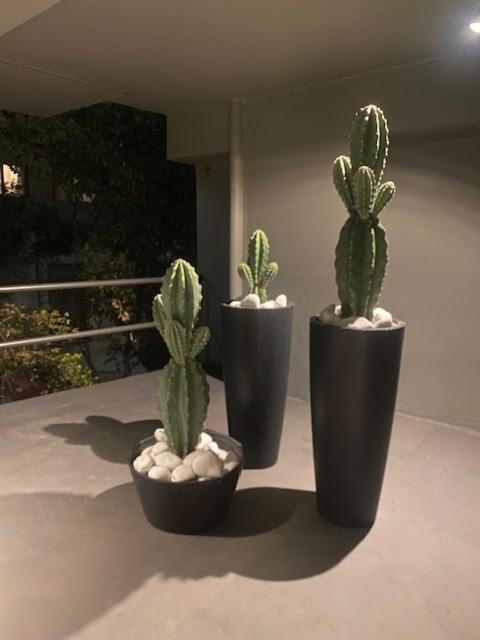 Apartment Luxury Near Lycabettus
